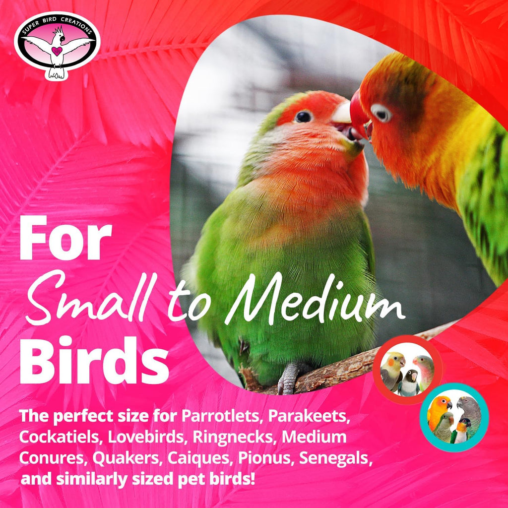 SB1055 Birdie Balls Bird Foot Toy, Medium Bird Size, 2" Diameter (4 Pack)