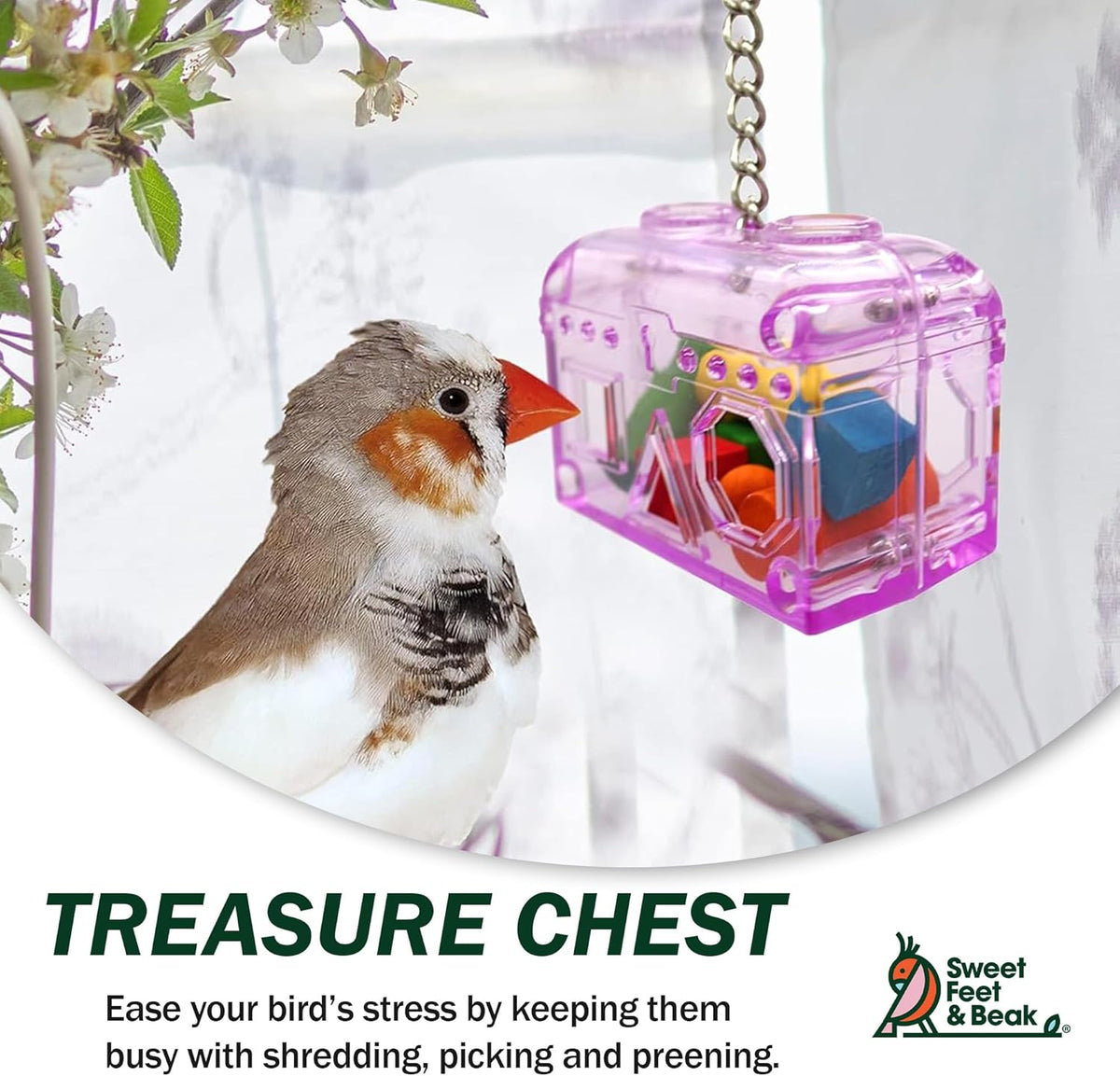 Treasure Chest Toy - Puzzle & Foraging Toys for Birds - Durable Plastic Bird Foraging Box W/ Colorful Wooden Shapes - Parrot Puzzle Toys - Small & Large Bird Toys for Cockatiels, Lovebirds & More