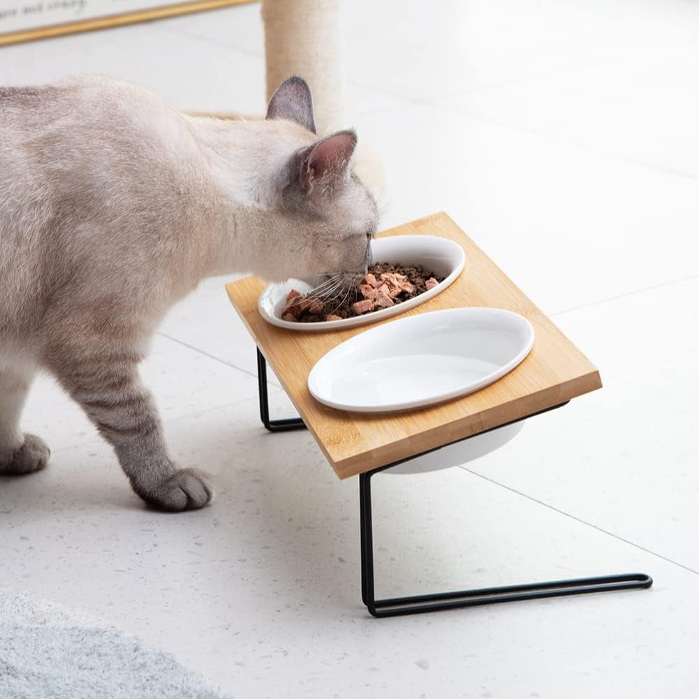 Sweejar Ceramic Elevated Cat Bowls, Small Dog Bowls, 15° Tilted Raised Pet Bowl with Solid Wooden Stand to Protect Spine, Water and Food Feeder for Cat and Dog, Pack of 2 (White)