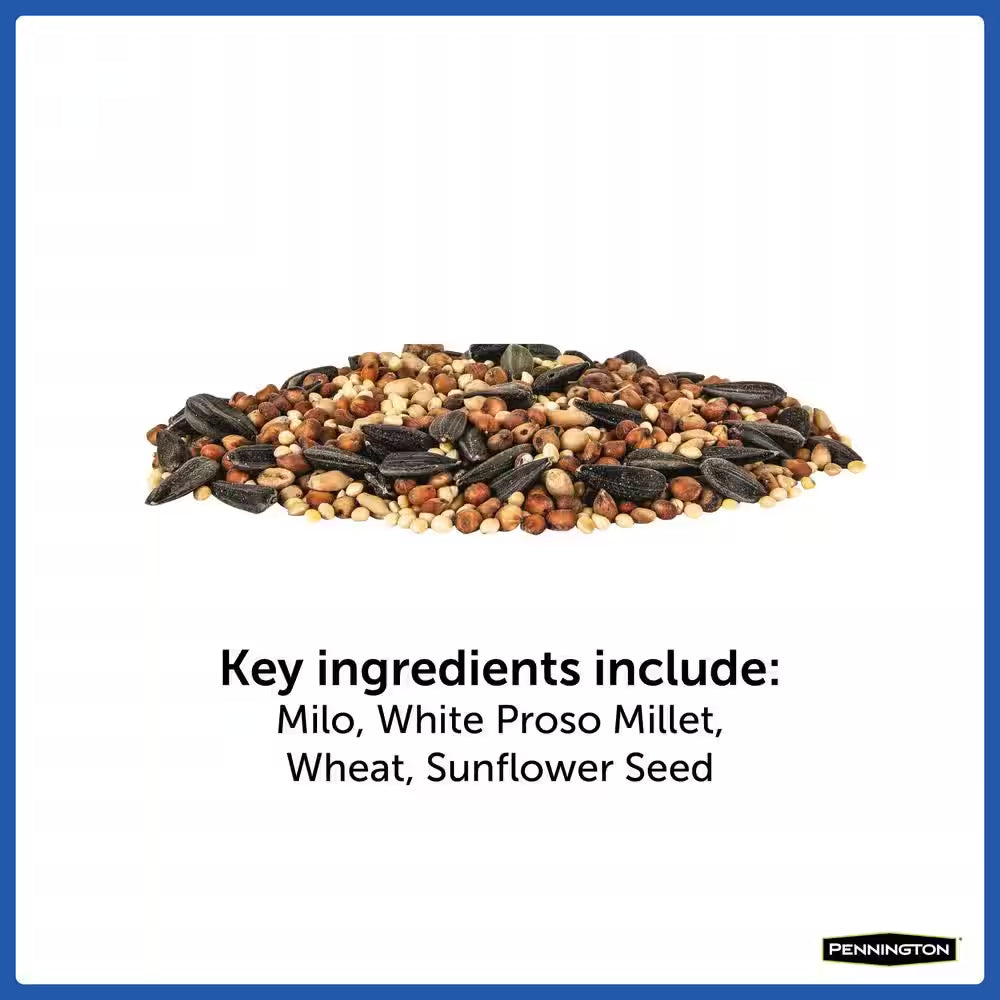10 Lbs. Wild Bird Seed Food