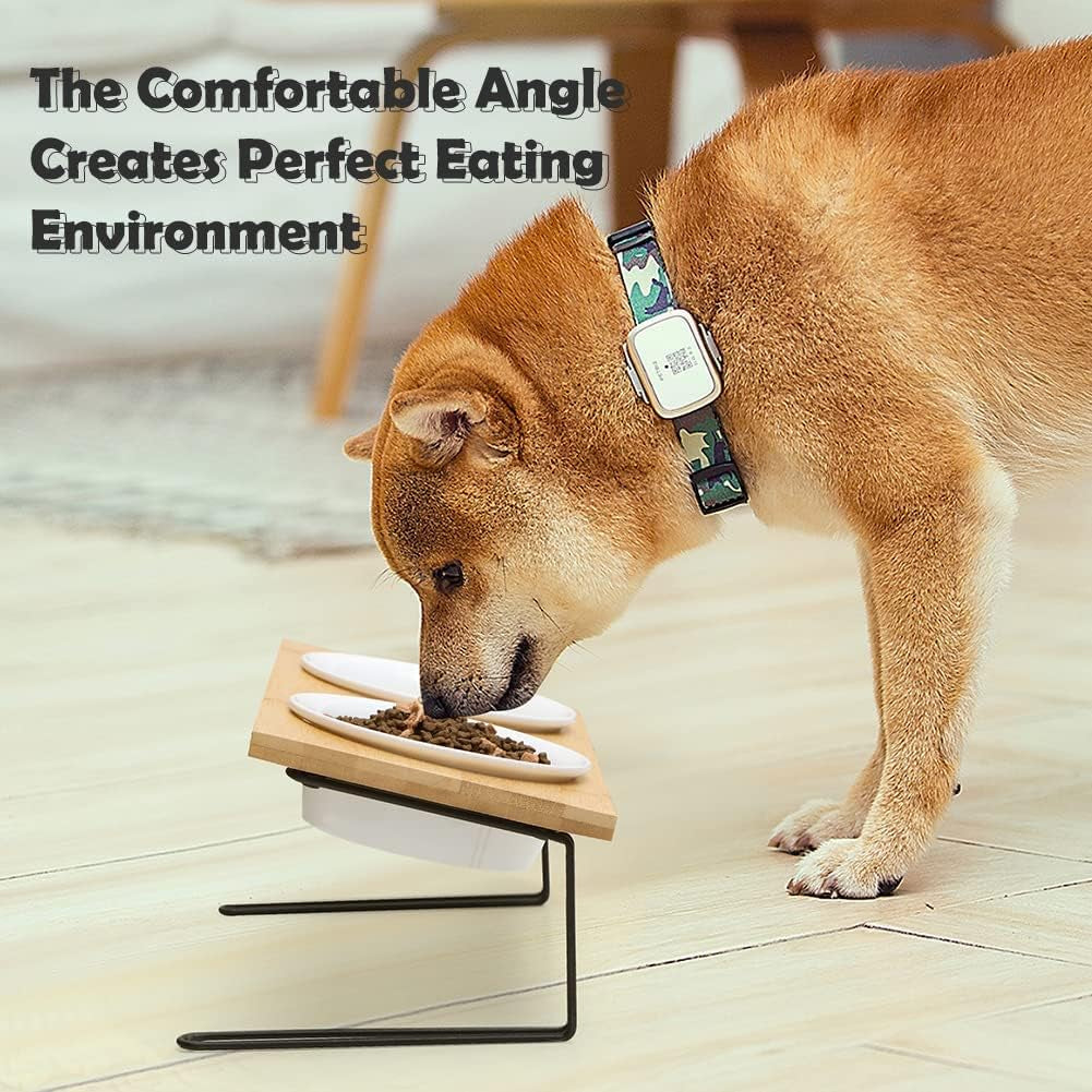 Sweejar Ceramic Elevated Cat Bowls, Small Dog Bowls, 15° Tilted Raised Pet Bowl with Solid Wooden Stand to Protect Spine, Water and Food Feeder for Cat and Dog, Pack of 2 (White)