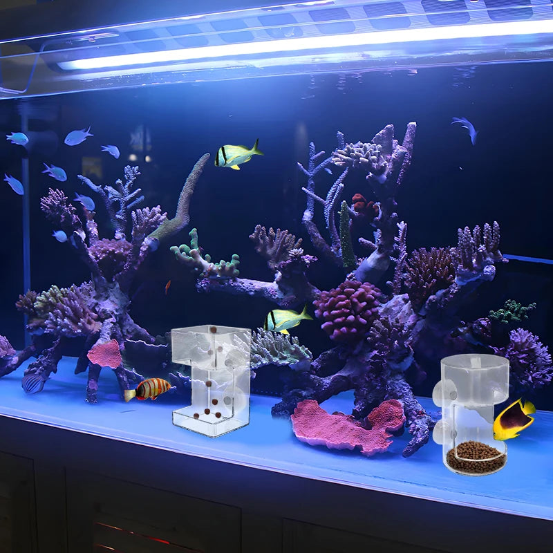 Fish Feeder for Aquarium 2025 New Fish Tank Dish Tray with Suction Cup Acrylic Fish Feeding Tube Fish Food Holder