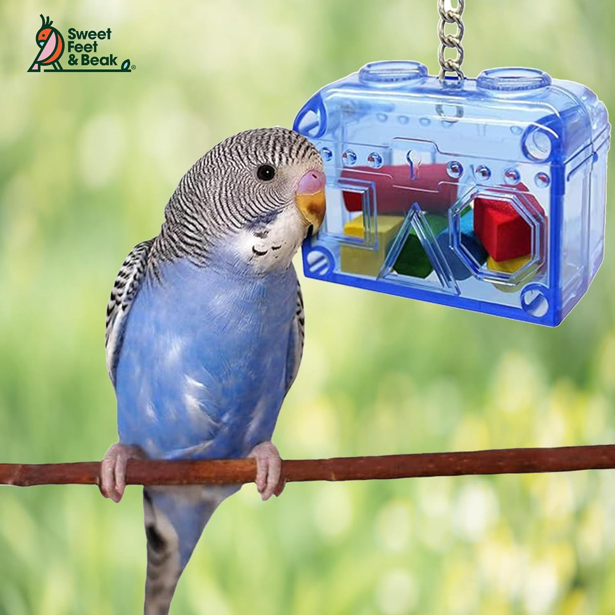Treasure Chest Toy - Puzzle & Foraging Toys for Birds - Durable Plastic Bird Foraging Box W/ Colorful Wooden Shapes - Parrot Puzzle Toys - Small & Large Bird Toys for Cockatiels, Lovebirds & More