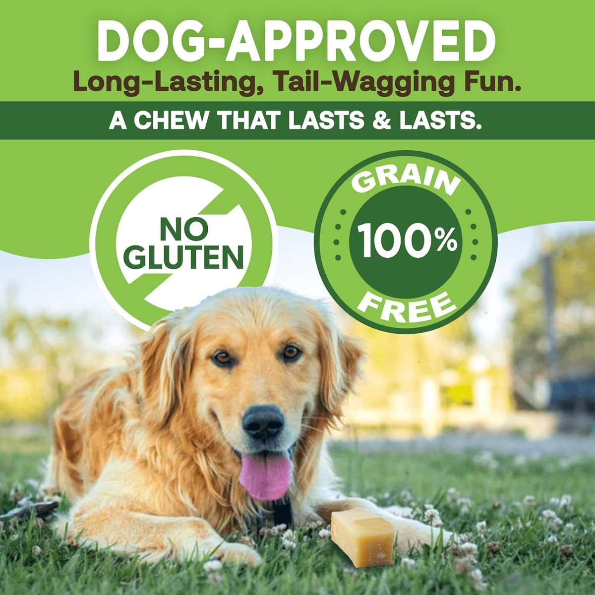 Gold Yak Chews for Small Dogs