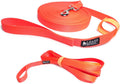 Long Trainer - 1 Inch Nylon Long Dog Training Leash with Storage Strap (50 Ft, Orange)