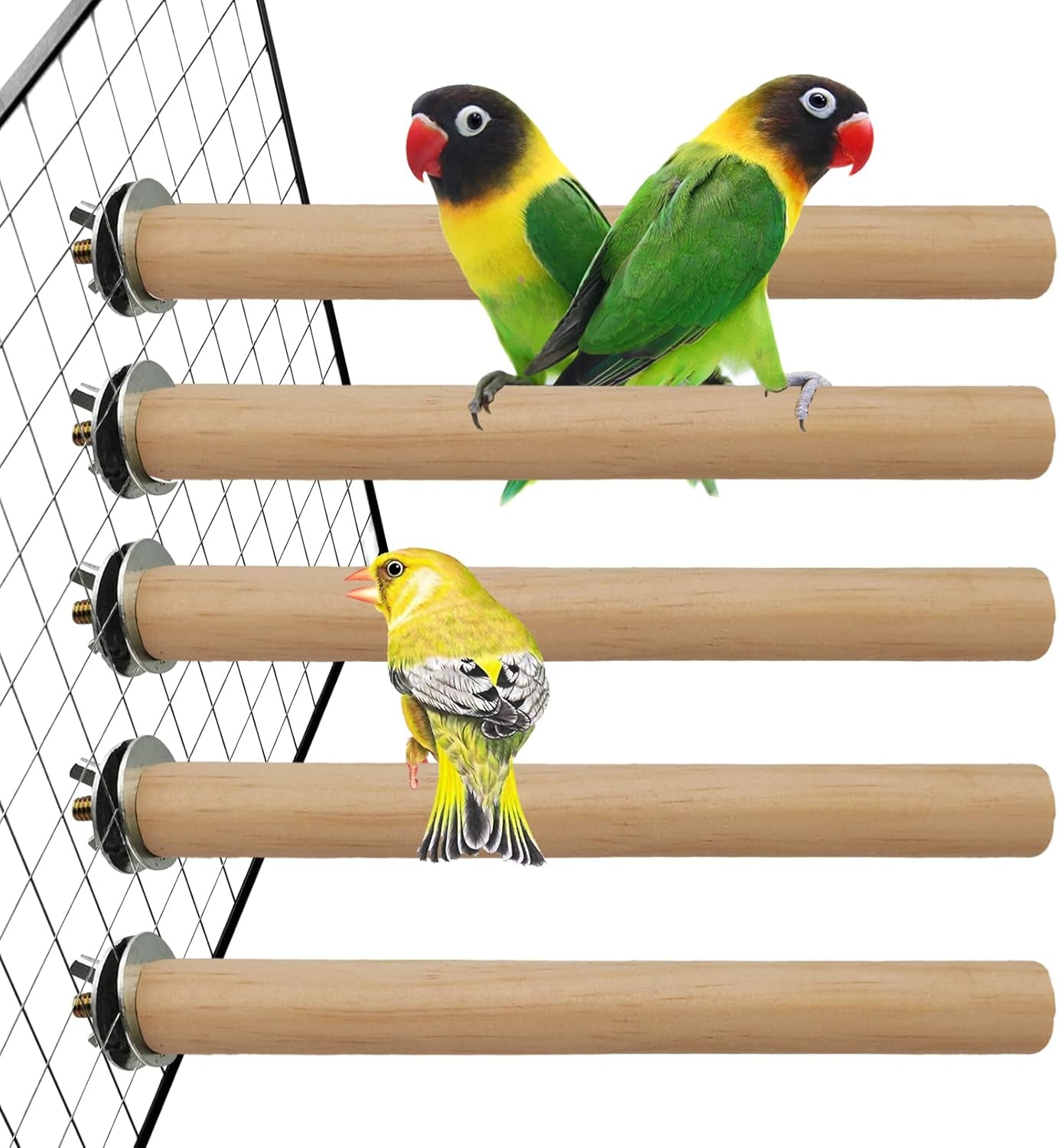 Bird Perch for Cage Parakeet Stand Natural Wood Parrot Stick 5PCS