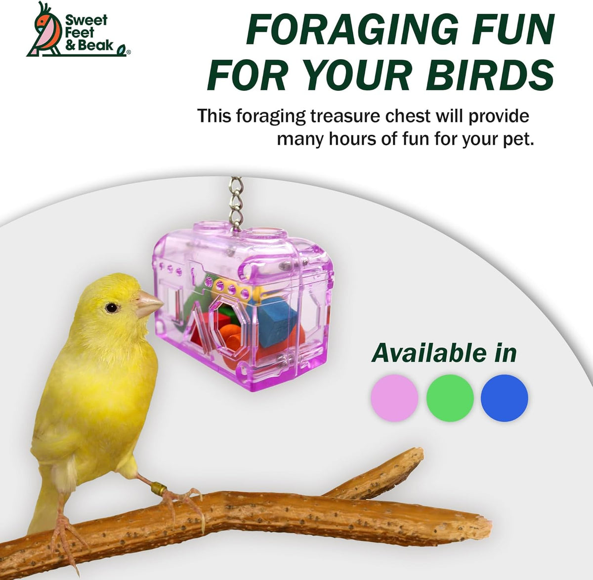 Treasure Chest Toy - Puzzle & Foraging Toys for Birds - Durable Plastic Bird Foraging Box W/ Colorful Wooden Shapes - Parrot Puzzle Toys - Small & Large Bird Toys for Cockatiels, Lovebirds & More