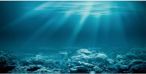36X20 Inches Undersea Theme Aquarium Background Sunshine Underwater World Fish Tank Background Vinyl