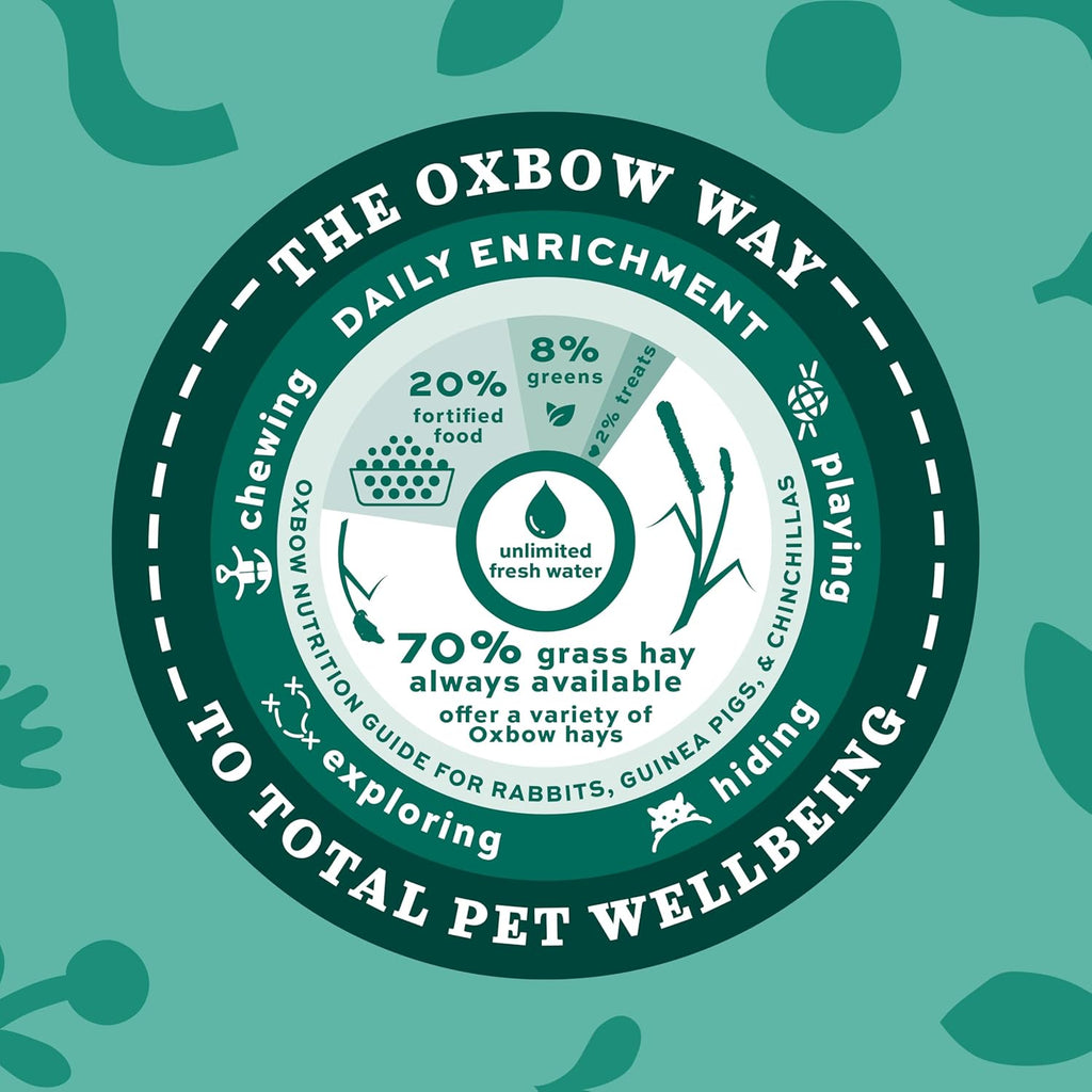 Western Timothy Hay, Guinea Pig Hay, Small Pet Bunny Supplies, All Natural Grass for Guinea Pig, Bunny, Chinchilla & Hamster, Rabbit Supplies for Bunnies, 9 Lb Box