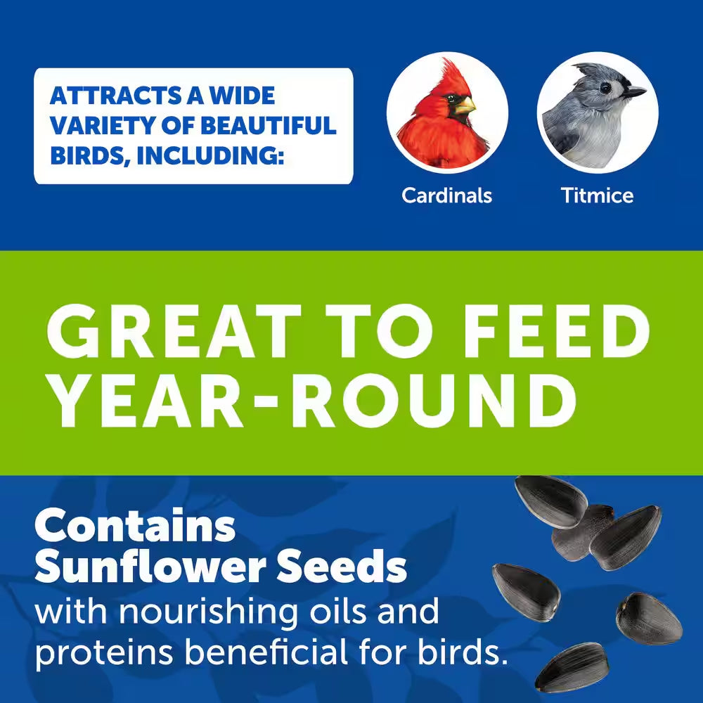 10 Lbs. Wild Bird Seed Food