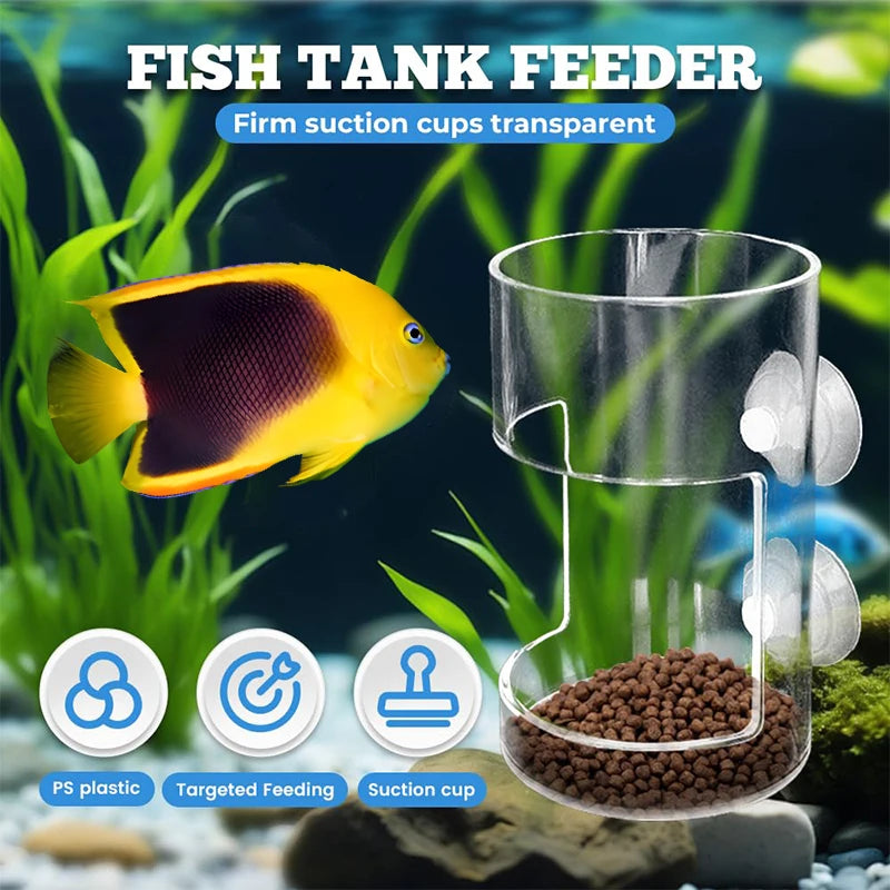 Fish Feeder for Aquarium 2025 New Fish Tank Dish Tray with Suction Cup Acrylic Fish Feeding Tube Fish Food Holder