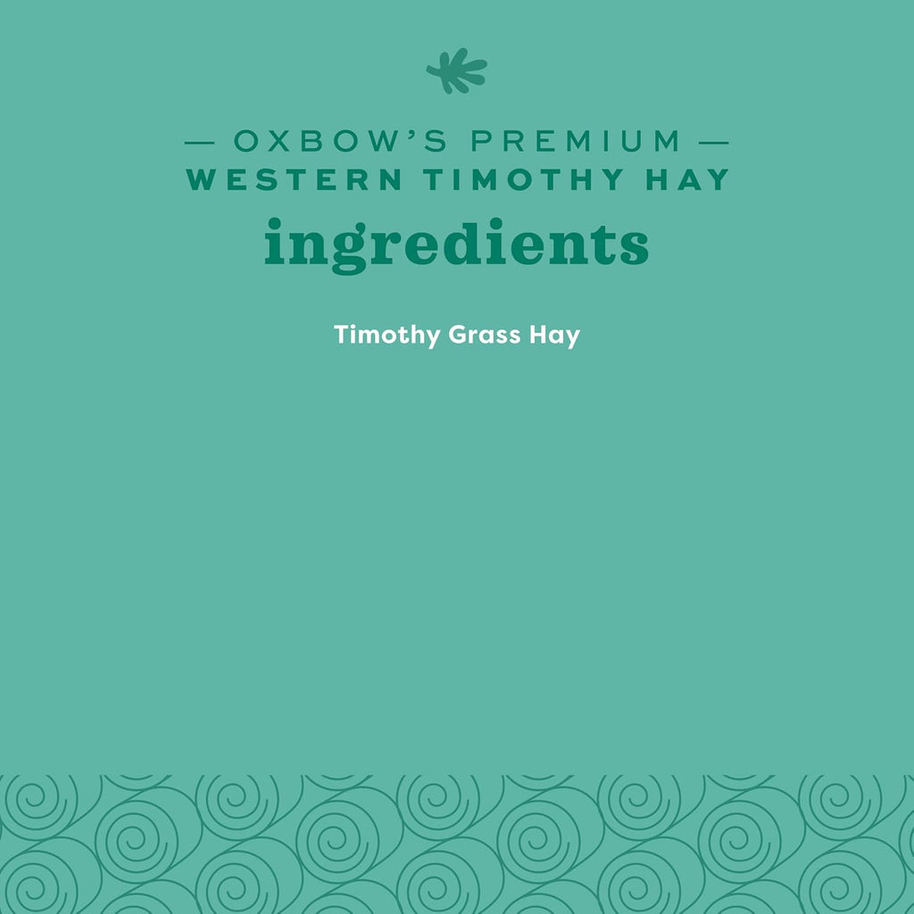 Western Timothy Hay, Guinea Pig Hay, Small Pet Bunny Supplies, All Natural Grass for Guinea Pig, Bunny, Chinchilla & Hamster, Rabbit Supplies for Bunnies, 9 Lb Box